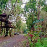TEMPAT OUTBOUND DI BANYUWANGI