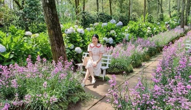 Hamparan taman bunga warna-warni yang Instagramable di kawasan wisata Coban Talun