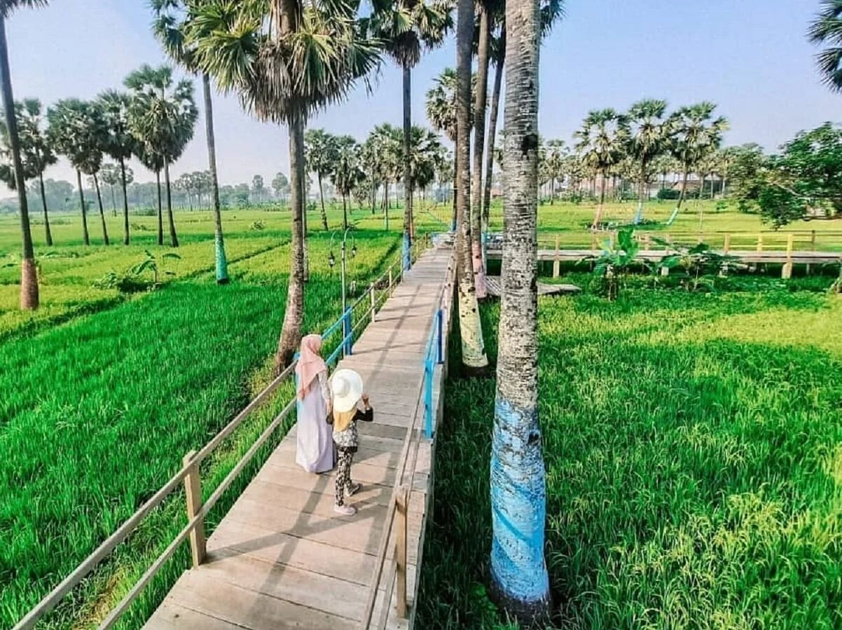 Edu Wisata Lontar Sewu Gresik suasana pepohonan lontar dan jalur foto