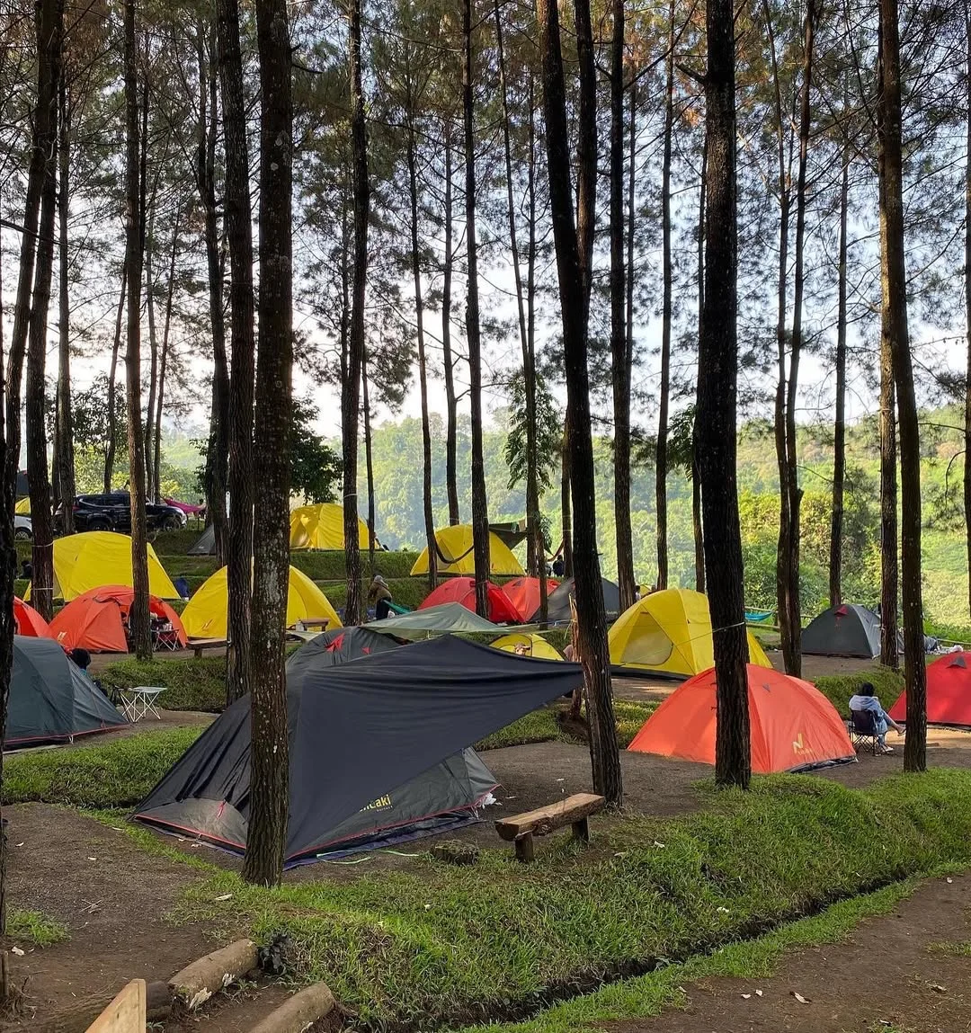 Paket Camping Trawas