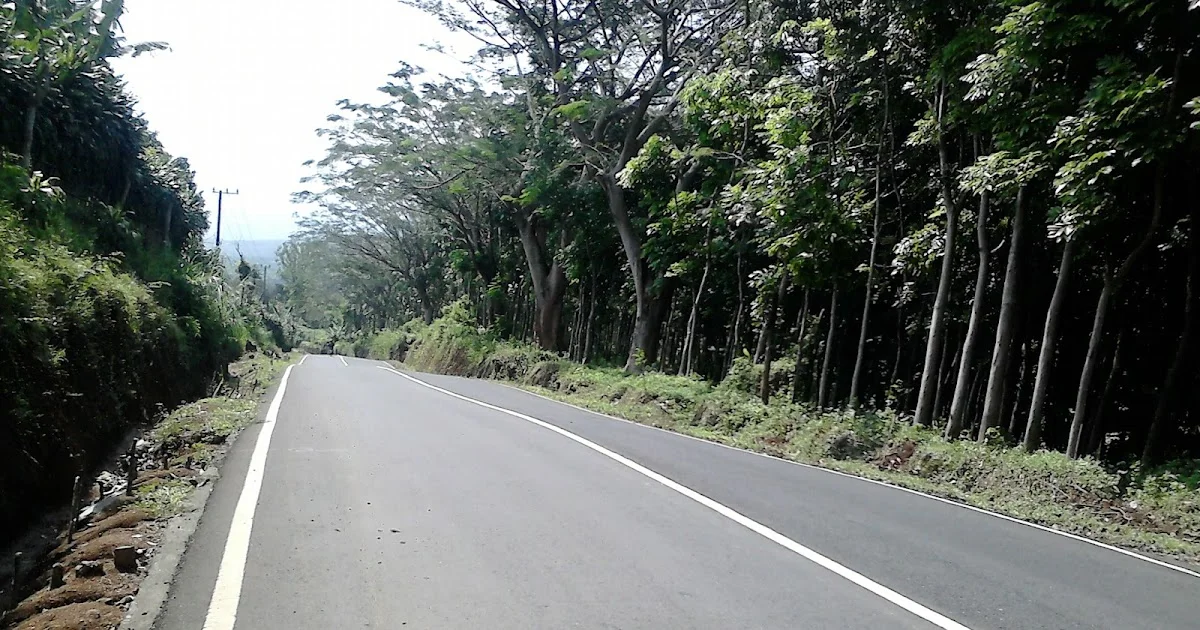 Kondisi jalan dan tikungan tajam yang menjadi alasan pentingnya tips memilih armada bus untuk jalur pegunungan Trawas